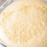 dough after rising