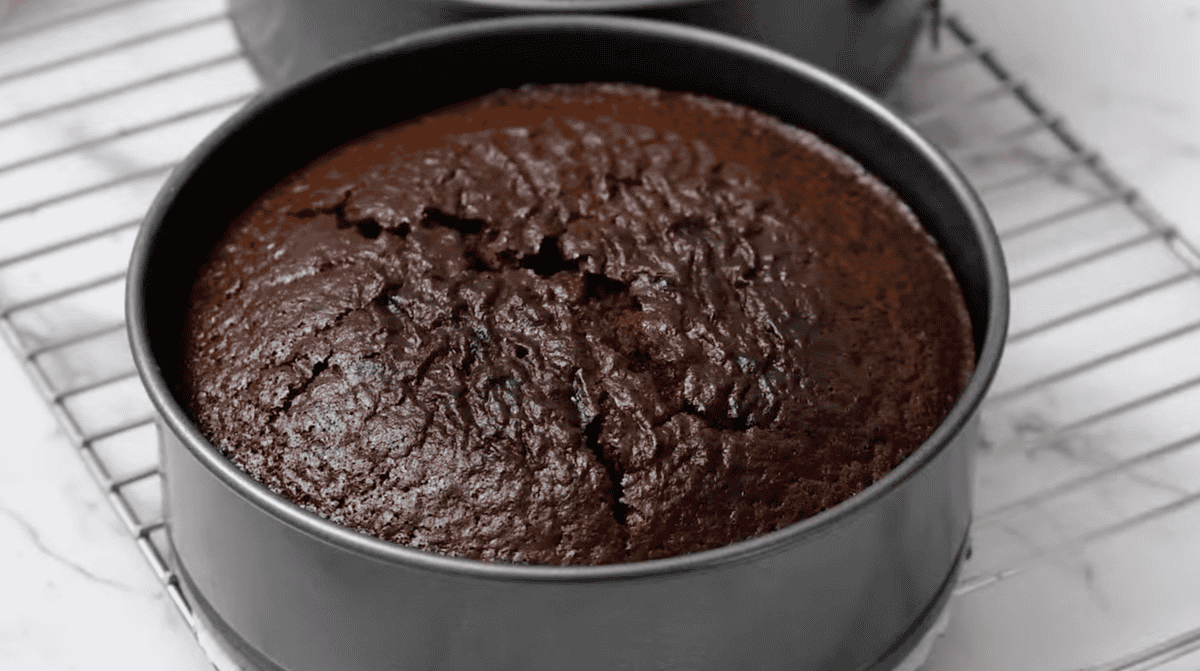 a baked chocolate cake in a cake pan.