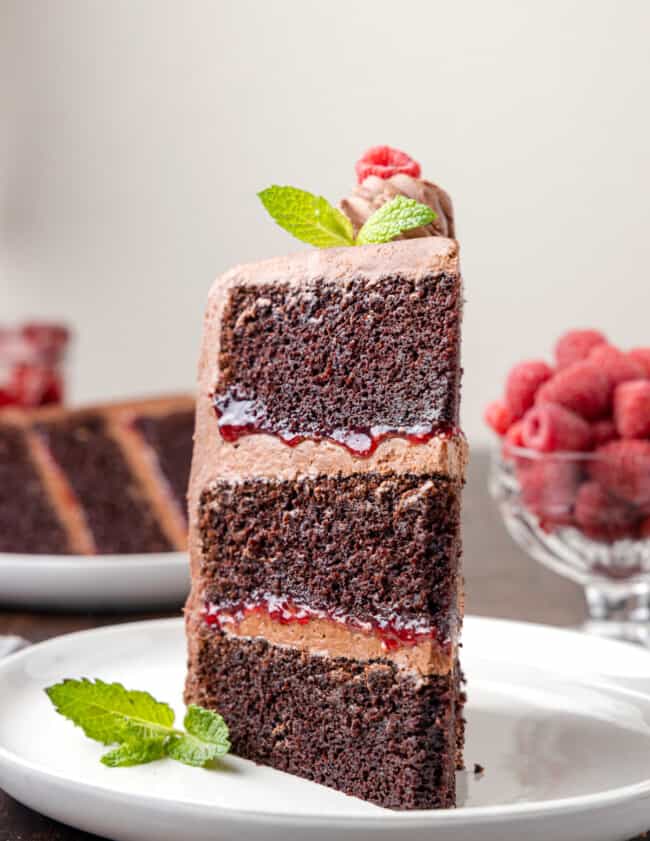 head on view of a slice of chocolate raspberry cake on a white plate with mint leaves.