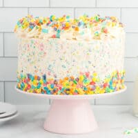 a rainbow sprinkle cake on a pink cake stand.