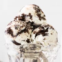 featured oreo ice cream.