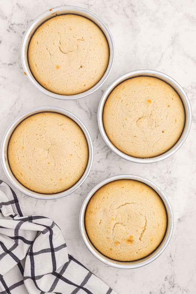 4 baked naked cake layers in round cake tins.