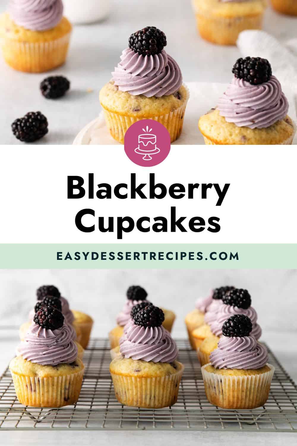 blackberry cupcakes pinterest
