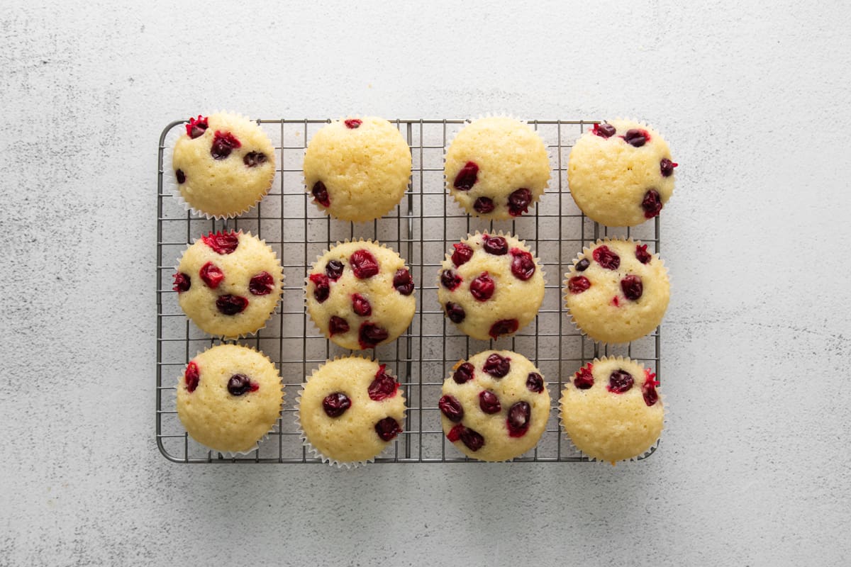 overhead view of unfrosted cranberry cupcakes lined up on a cooling rack