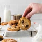 hand holding a peppermint chocolate chip cookie upright on an inverted baking tray.