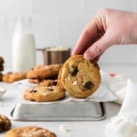 hand holding a peppermint chocolate chip cookie upright on an inverted baking tray.