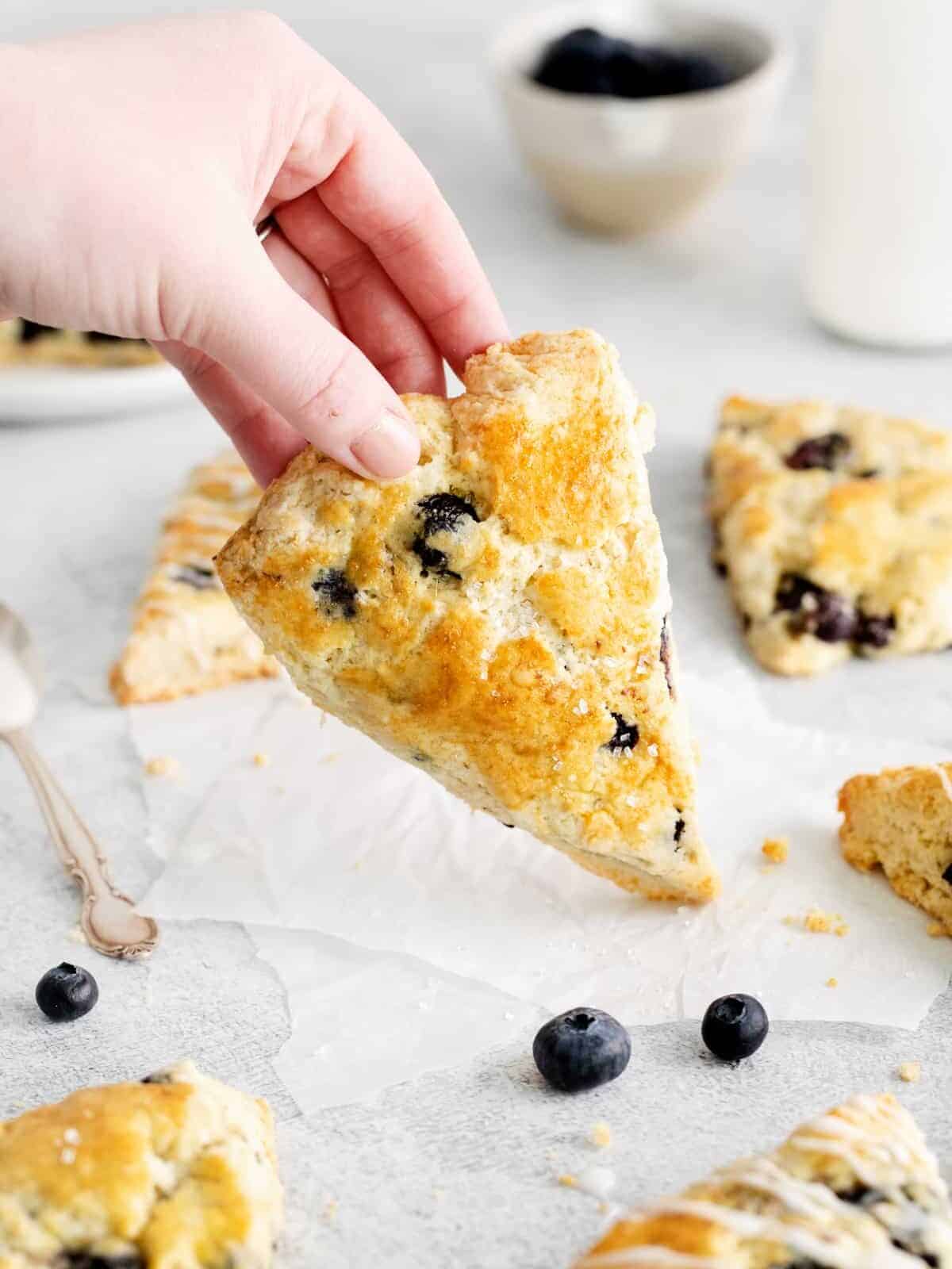 side view of a hand holding a blueberry scone with the tip resting on the table.
