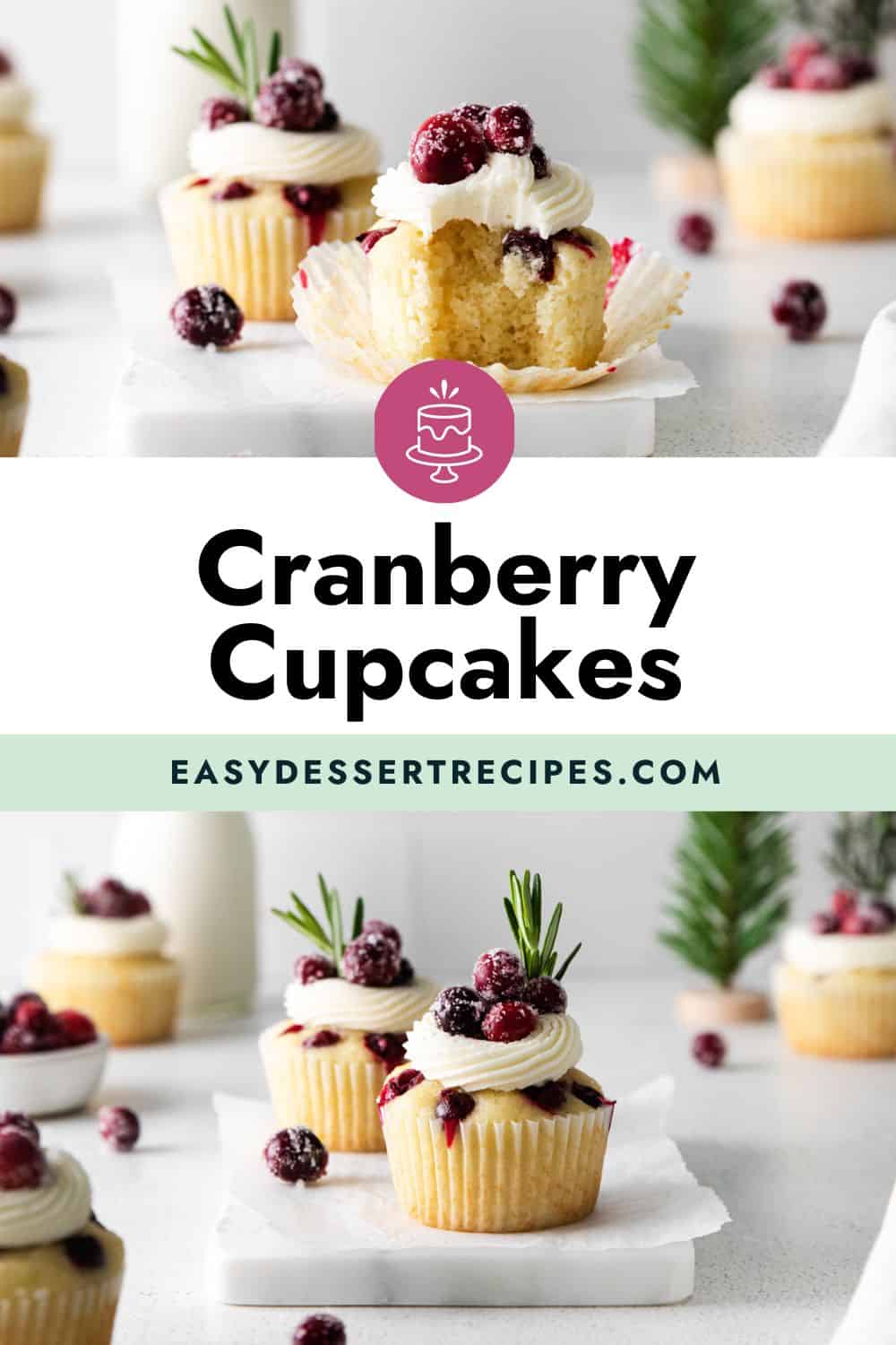 Cranberry cupcakes with white frosting and cranberries.