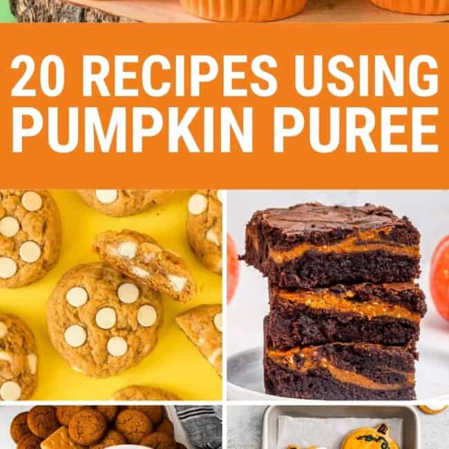 pumpkin puree recipes