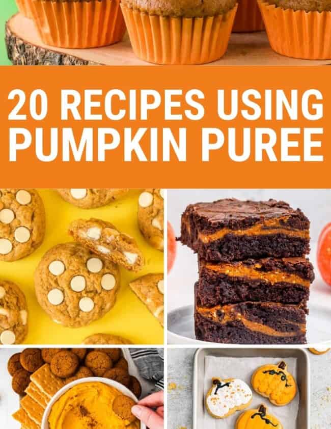 pumpkin puree recipes