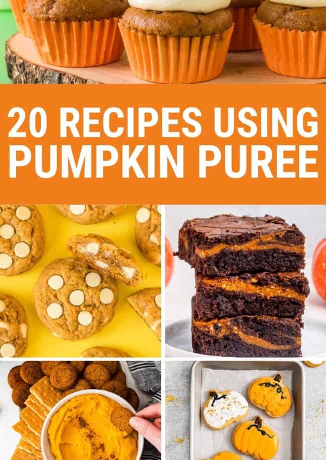 pumpkin puree recipes