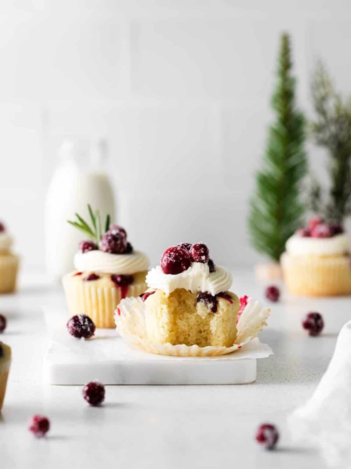 Cranberry Cupcakes - Easy Dessert Recipes