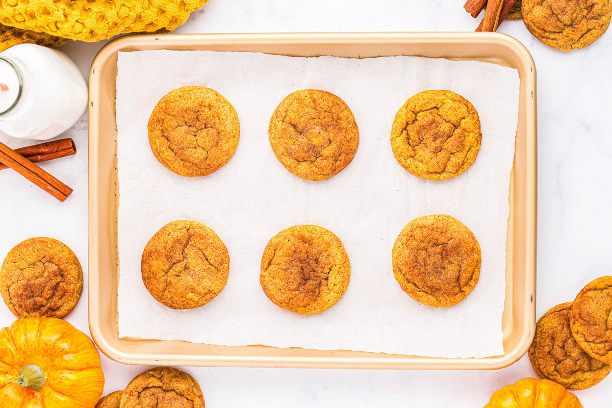 6 baked pumpkin snickerdoodle cookies on a baking sheet.