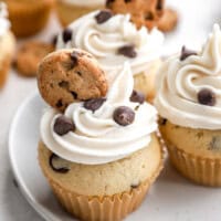 Chocolate chip cupcakes gathered on a white plate.