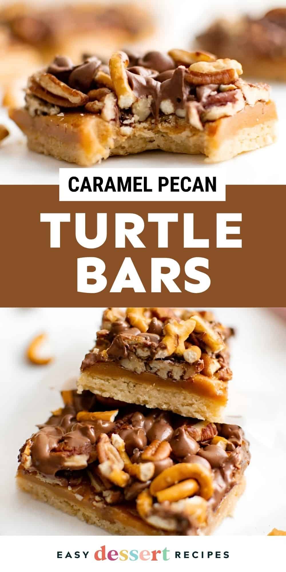 turtle bars pin.