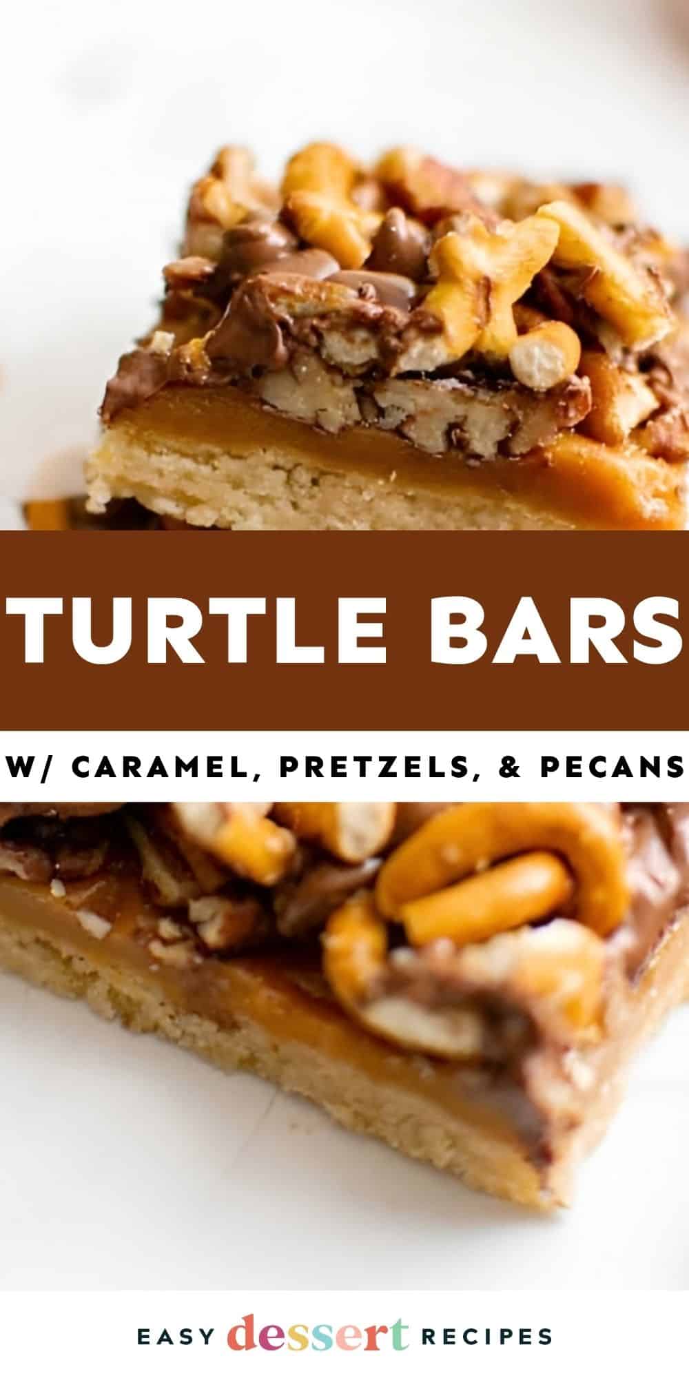 turtle bars pin.