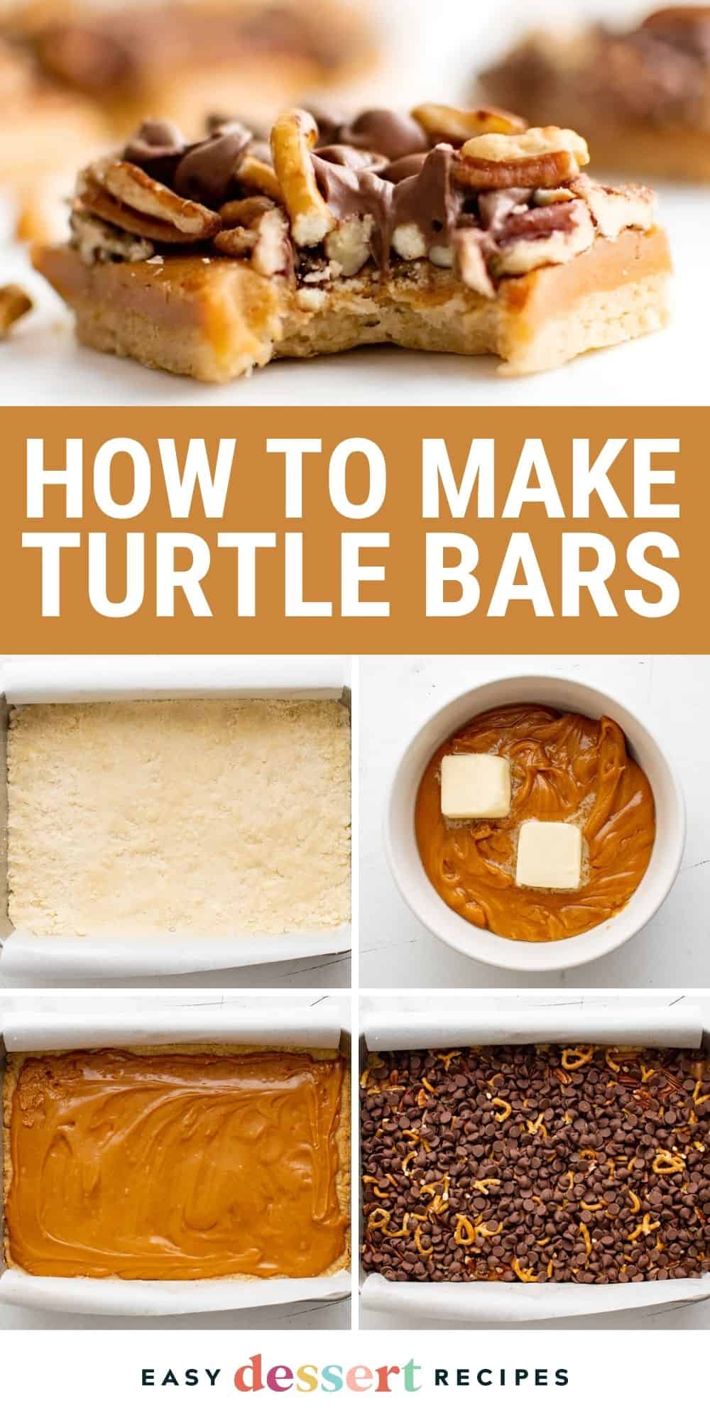 turtle bars pin.