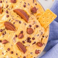 a bowl of peanut butter fluff with chopped peanut butter cups, chocolate chips, and a graham cracker dipped in it.
