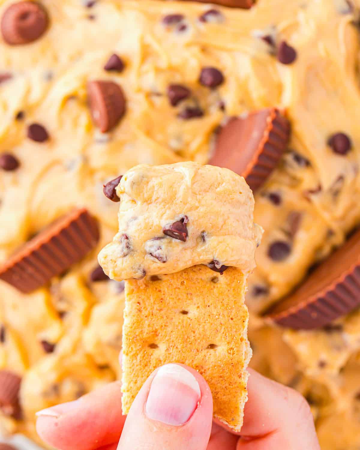 closeup of a scoop of peanut butter marshmallow fluff on a graham cracker.